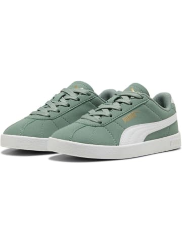 Puma Sneaker "Club II PS" in Grün