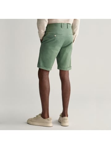 Gant Shorts in KalamataGreen