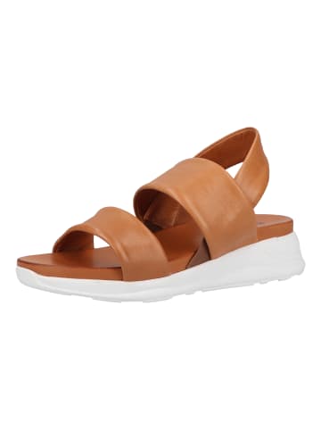 ILC Sandalen in Cognac