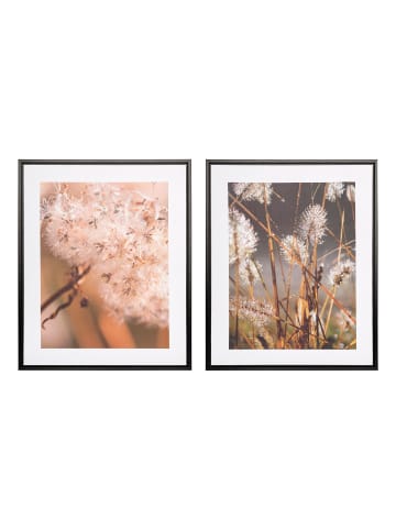 Creativ home 2er Set: PUSTEBLUME Deko-Bild