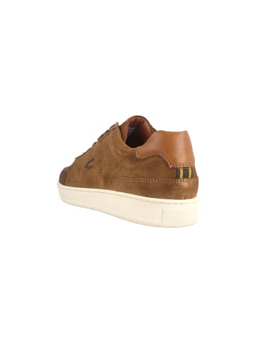 Camel Active Sneaker in Braun