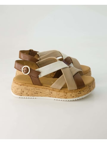 Gabor Comfort Sandalen in Beige