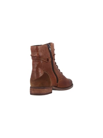 Josef Seibel Stiefeletten in Beige