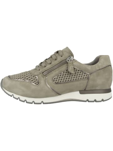 Caprice Sneaker low 9-23700-28 in gruen