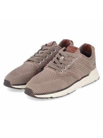 Gant Schnürhalbschuh in beige