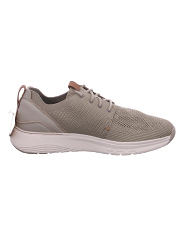 Clarks Sneaker Motion Trek MX in Grün