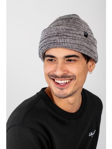 Reell Mütze "Polar Beanie" in Grau