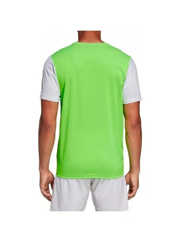 adidas Tshirt in 0-Grün/Weiß