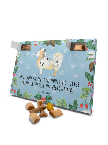 Mr. & Mrs. Panda Hundekalender Hund Australien Shepherd mit Spruch in Eisblau