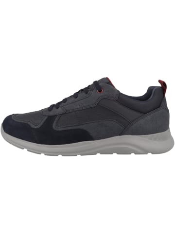 Geox Sneaker low U Damiano A in dunkelblau