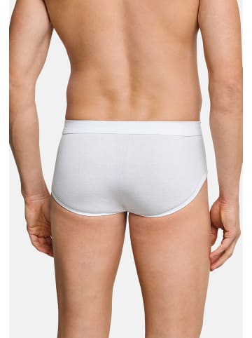 Schiesser Slip / Unterhose Cotton Essentials Feinripp in Weiß
