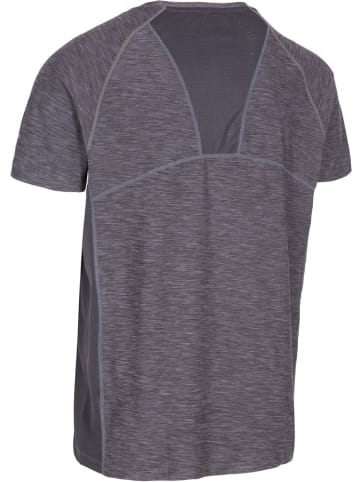 DLX T-Shirt in Grau