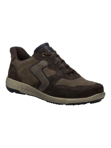 Josef Seibel Sneaker Enrico 34 in braun