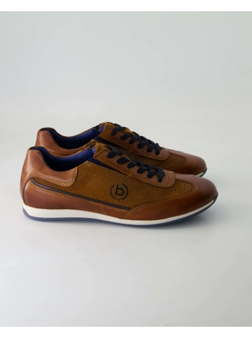 bugatti shoes Sneaker low in Braun