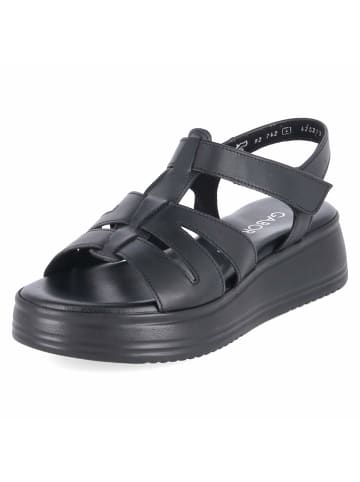 Gabor Sandalen in schwarz