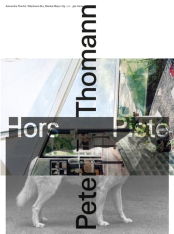 GTA Verlag Buch - Peter Thomann