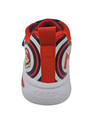 Geox Sneaker Assister Blinker Super Ma in Blau
