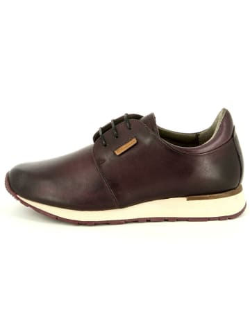 El Naturalista Schnürschuh in blau