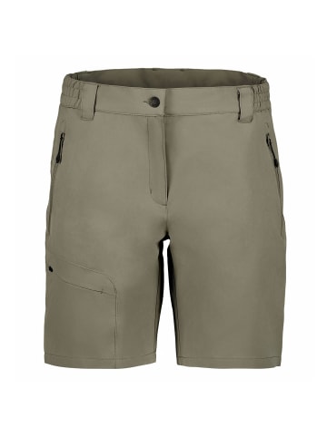 Icepeak Shorts in Grau