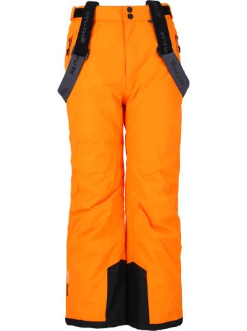 Whistler Skihose Fairfax in 5128 Turmeric