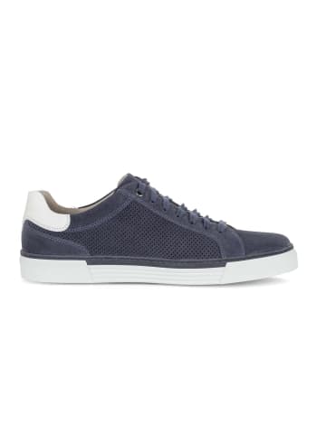 Gabor Sneaker low in blau