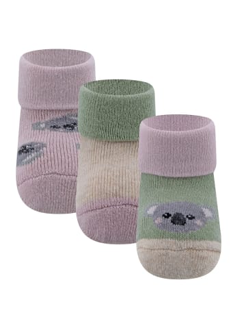 ewers 3er-Set Newborn Socken 3er Pack Koala in rosenrauch-salbei-beige mel.