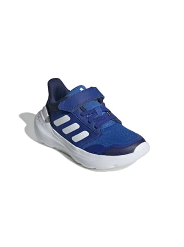adidas Halbschuhe in bright royal/white/dark blue