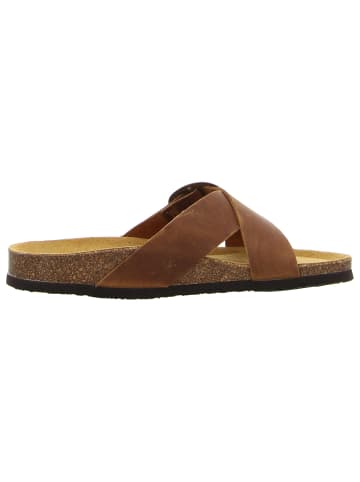 Plakton Klassische Pantolette in braun