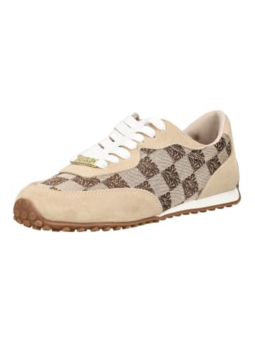 Steve Madden Sneaker CAMEOS-SM Braun/Beige