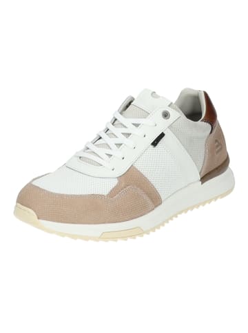 Bullboxer Sneaker in Weiß