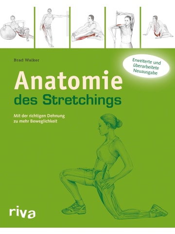 riva Anatomie des Stretchings | Mit der richtigen Dehnung zu mehr Beweglichkeit