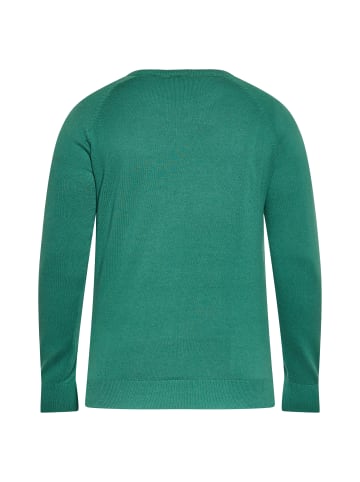 boline Herren Pullover in GRÜN