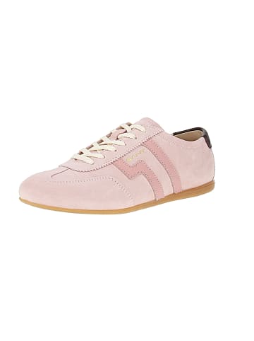 Gant Sneaker low Sperly in Pink