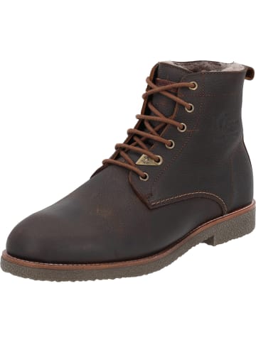 PANAMA JACK Stiefeletten in Castano/Chestnut