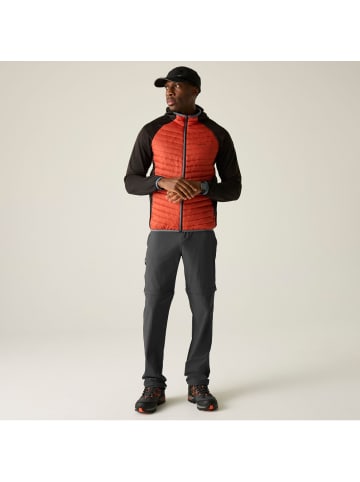 Regatta Travel Light Cargohose / Zip Off Pant Insektenabweisend in anthrazit