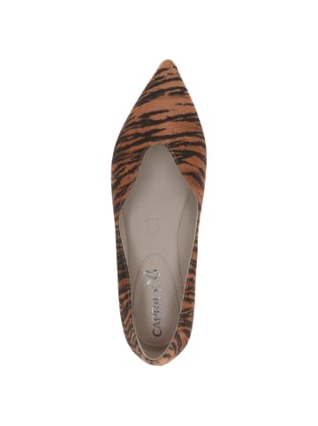 Caprice Ballerina in ORANGE TIGER