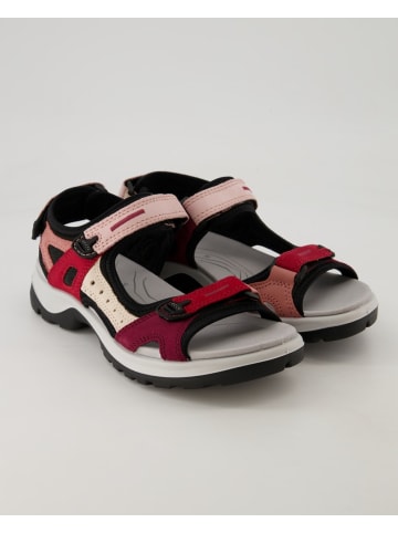 Ecco Sandalen in Rot