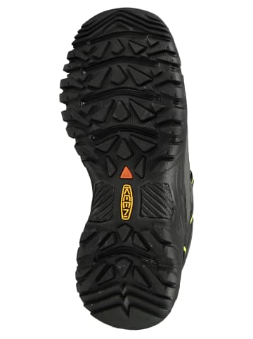 Keen Halbschuhe Targhee III grün