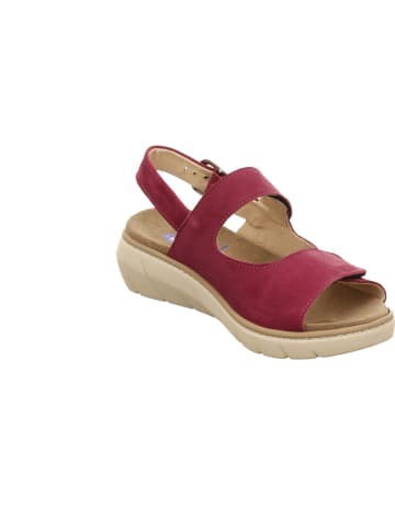 wolky Sandalen in rot