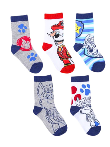 Cerda 5er - Pack Kindersocken Paw Patrol im Kulturbeutel in Bunt