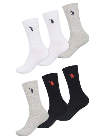 U.S. Polo Assn. P-013 in Weiss Schwarz Grau - Schwarz