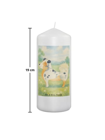 Mr. & Mrs. Panda Kerze Hund Australien Shepherd Design ohne Spruch in Weiß