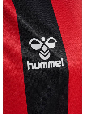 Hummel T-Shirt Hmlcore Kinder in BLACK/TRUE RED