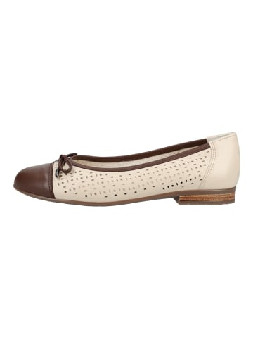 ara Ballerinas in Mocca