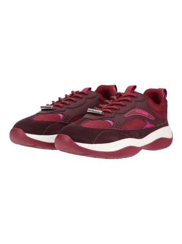 Steve Madden Sneaker PREMIO-E Cherry