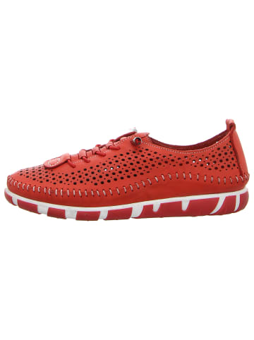 Gemini Schnürschuh in rot