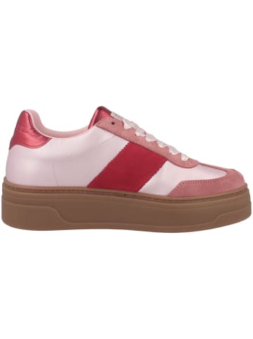 Steve Madden Sneaker low Moxy in pink