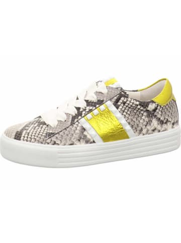 Kennel & Schmenger Sneaker Low in bunt