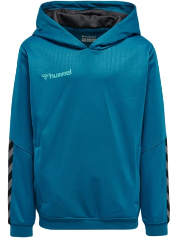 Hummel Hummel Hoodie Hmlauthentic Multisport Unisex Kinder in CELESTIAL