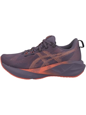 asics Laufschuhe Novablast 5 in grau